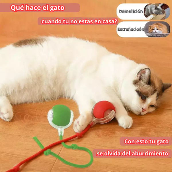 Pelota Interactiva 360° para Mascotas – Juego Automático