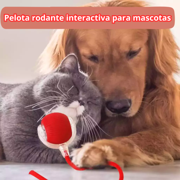 Pelota Interactiva 360° para Mascotas – Juego Automático