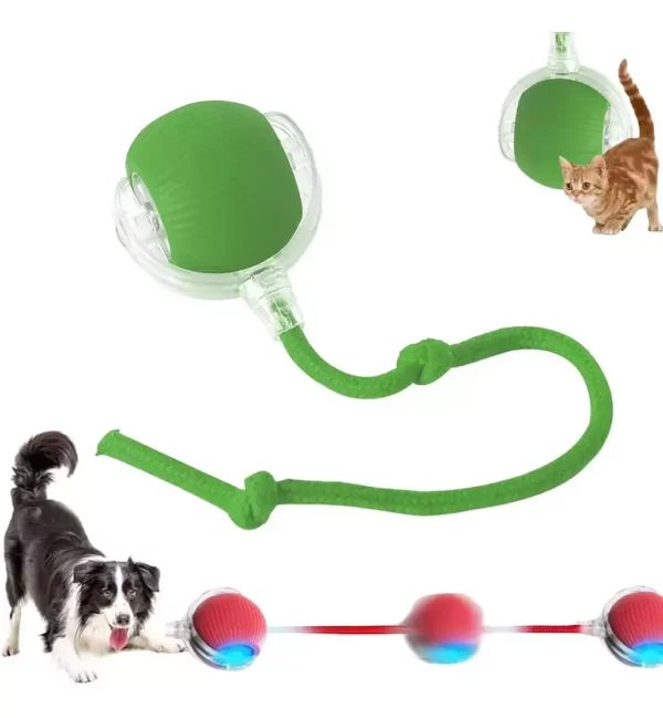 Pelota Interactiva 360° para Mascotas – Juego Automático